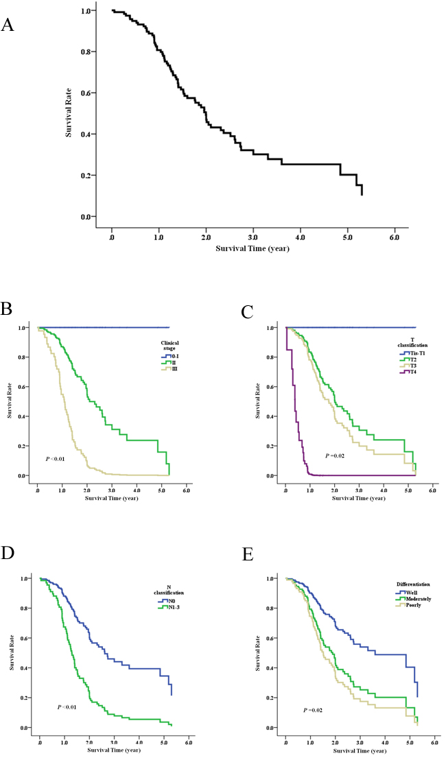 Survival analysis of ESCC