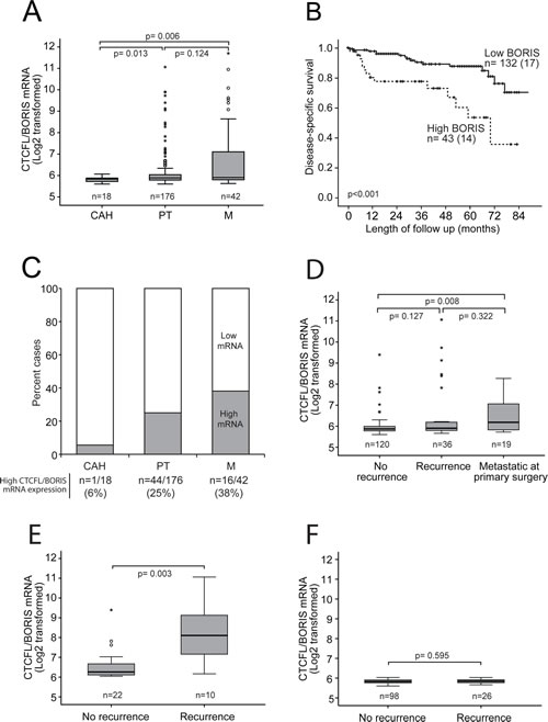 Increased CTCFL/BORIS mRNA expression level associates with cancer progression and poor survival.