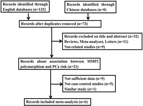 Flow diagram of the study selection process in the meta-analysis.