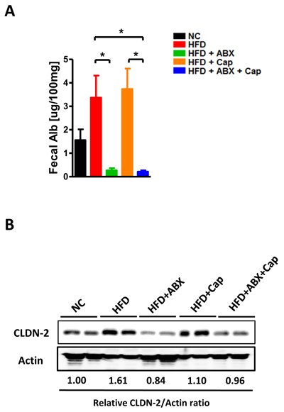 Antibiotics improved gut barrier function.