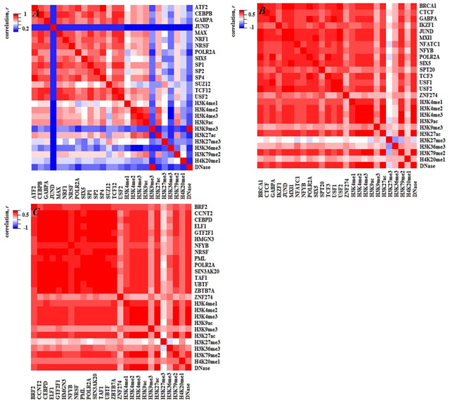 Heatmaps of PCC both within TFs (HMs) and between TFs and HMs for the three cell lines.