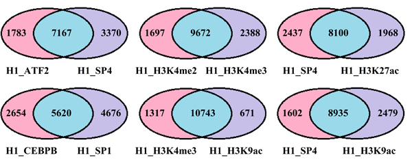 Venn diagram shows the number of the co-regulated and solo-regulated genes within and between TFs and HMs.