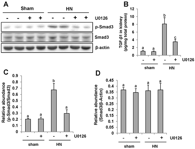 Pharmacologic blockade of ERK1/2 activity suppresses TGF-&#x03B2;1 signaling in the kidney of hyperuricemic rats.