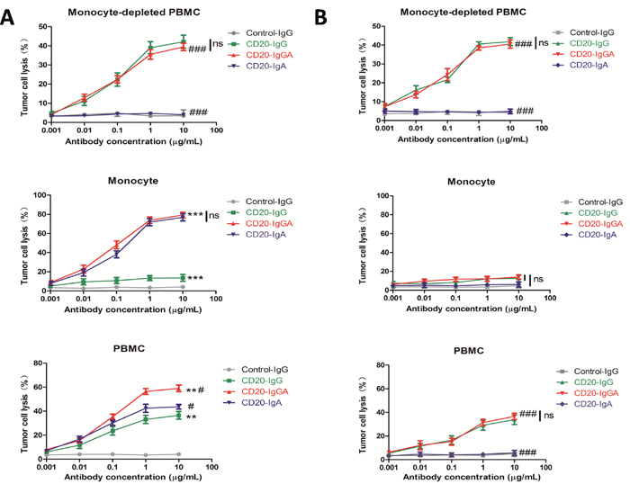 ADCC with different mouse effector cells ex vivo.