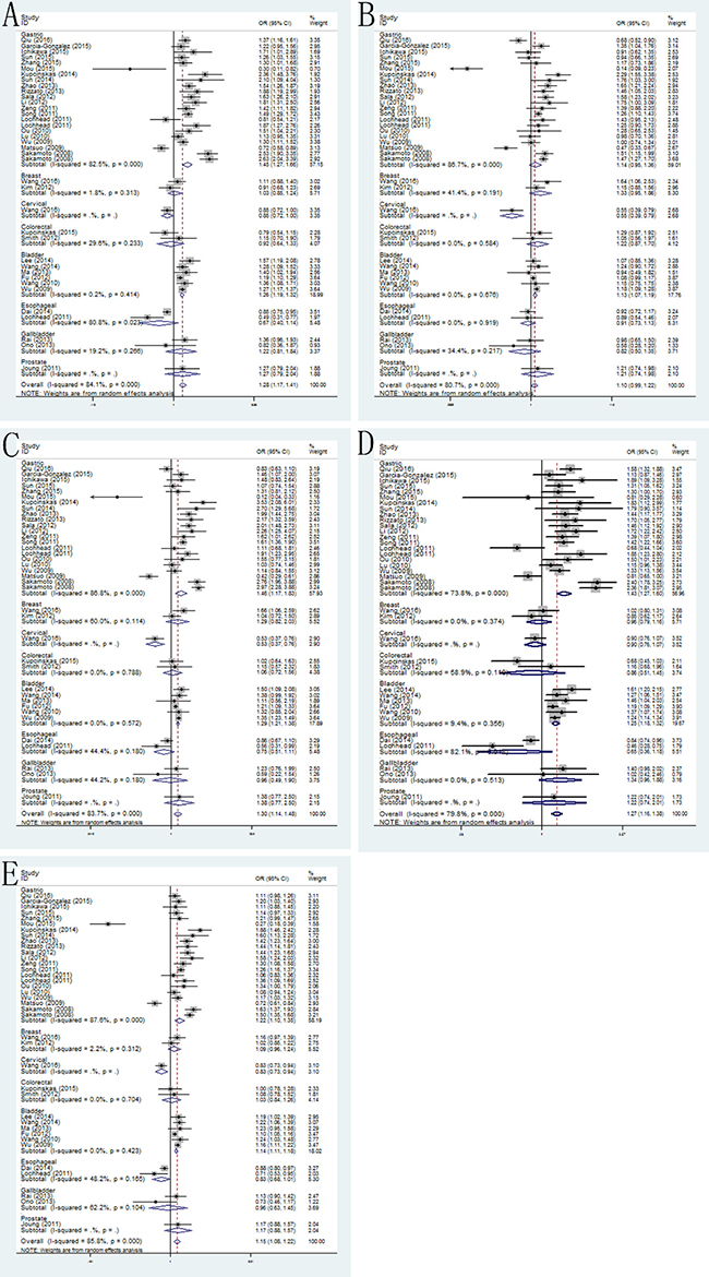 Forest plots of the association between PSCA rs2294008 C&#x003E;T polymorphism and cancer susceptibility in the stratification analyses by type of cancer.