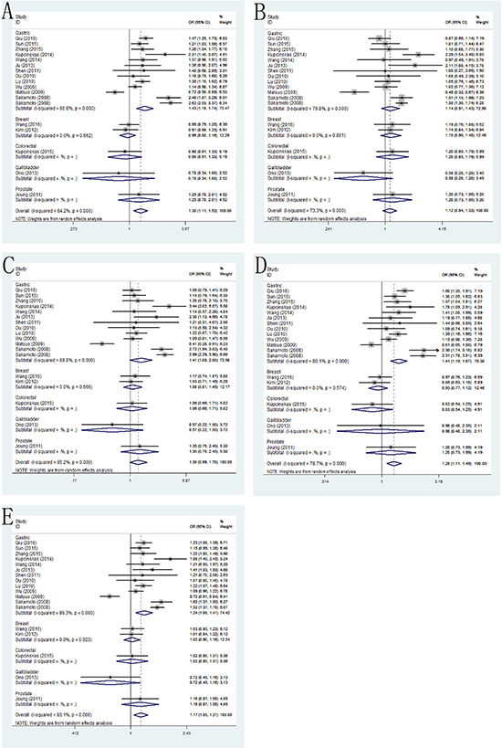 Forest plots of the association between PSCA rs2976392 G&#x003E;A polymorphism and cancer susceptibility in the stratification analyses by type of cancer.