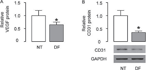Lower levels of VEGF and CD31 are detected in the resected DF specimens.