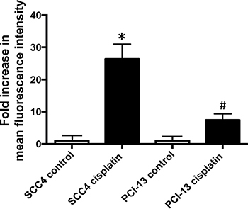 Cisplatin increases ALDH activity in HNSCC.