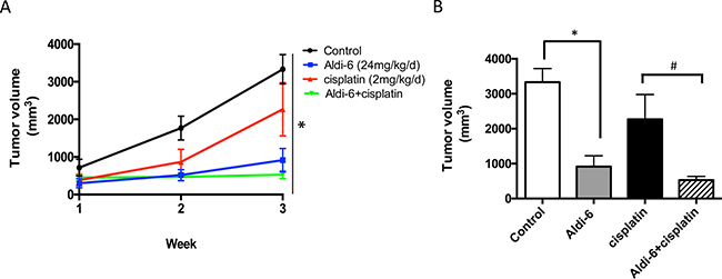 Aldi-6 reduces HNSCC tumor growth rate in vivo.