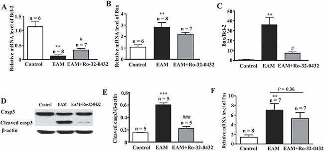 Ro-32-0432 suppresses apoptosis of myocardial cells in the heart of EAM rats.