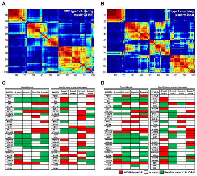 Four molecular subtypes identified using consensus clustering-based NMF.