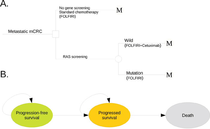 The schematics of the decision tree (A) and the Markov state transition model (B).