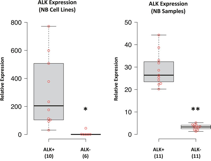 ALK expression in NB cell lines and samples.