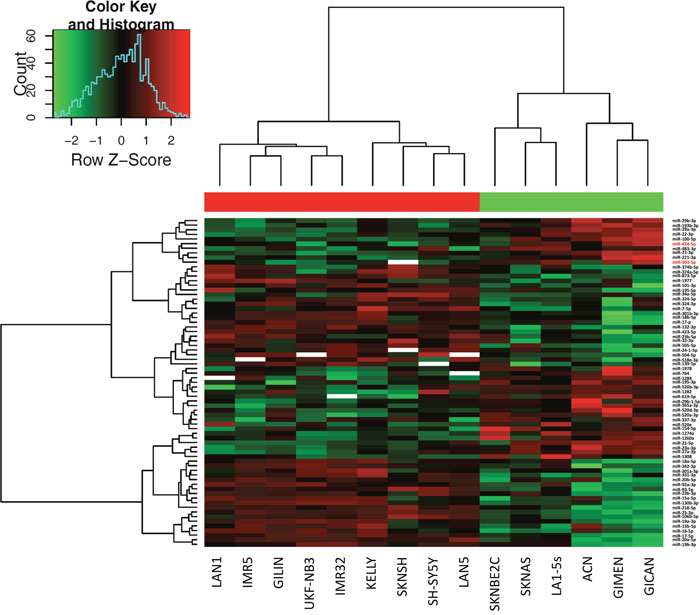 Hierarchical clustering of differentially expressed miRNAs in NB cell lines.