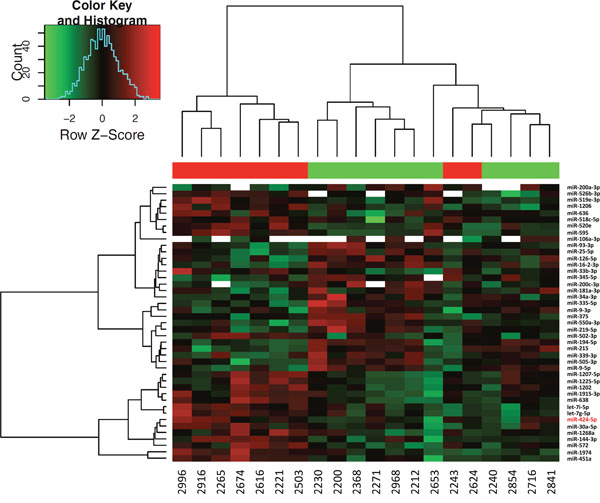 Hierarchical clustering of differentially expressed miRNAs in NB tumor samples.