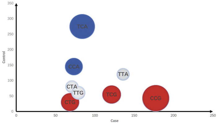 Distribution of haplotypes in cases and controls.