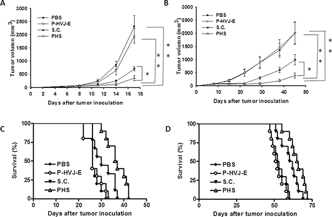 PAH inhibited tumor growth after systemic treatment.