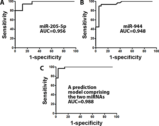 A prediction model based on two miRNAs (miRs-205-5p and 944) was developed for distinguishing SCC from AC in frozen lung tumor tissues.