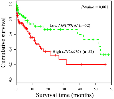 Kaplan-Meier survival curves of patients with HCC based on LINC00161 expression status.