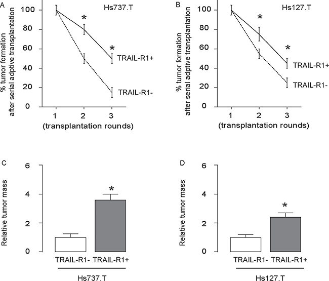 The highest occurrence of tumor formation was detected after serial adoptive transplantation of TRAIL-R1+ GCT cells.