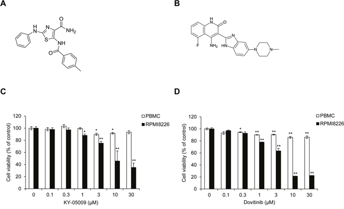 KY-05009 and dovitinib inhibit MM cell proliferation.