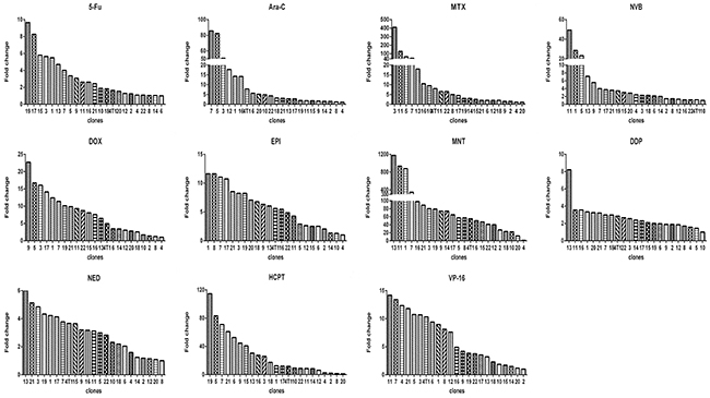 Relative drug sensitivity of clones from 4T1 cells.