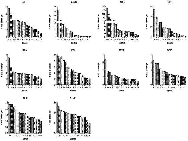 Relative drug sensitivity of subclones from monoclonal N1 (a clone from 4T1).