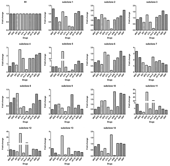 Each subclone derived from monoclonal N1 exhibits drug-response pattern distinct from others.