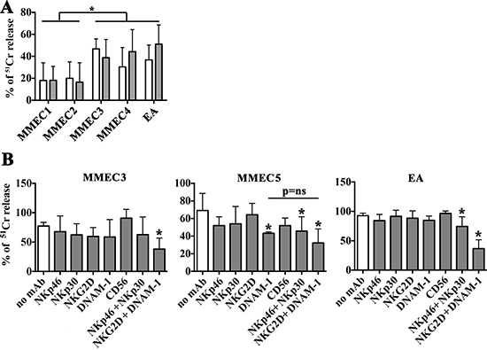Susceptibility of MMECs to NK-mediated killing and activating receptors involved.