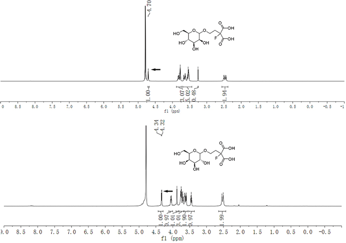 1H NMR spectra of the anomeric configuration of the mannose and galactose conjugated malonic acid ligands.