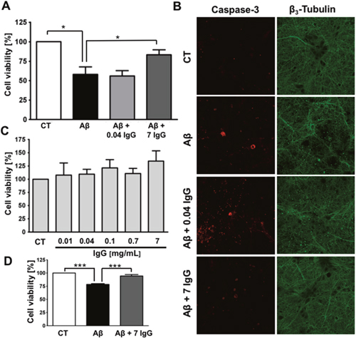 IgG protects cortical neurons against amyloid toxicity.