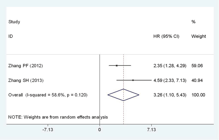 Forest plot of HR for the relationship between high Flotillin-1 expression and RFS.