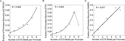 p53 R273H, ETS1 and GABPA, exhibit increased binding probability for promoters with higher number of ETS motifs.