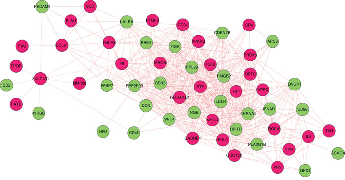 Co-expression network of 67 selected genes.