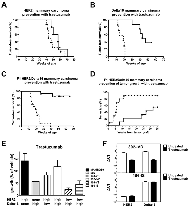 Response to trastuzumab treatment in vivo and in vitro.