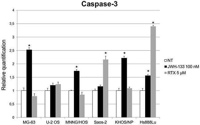 Effects on Caspase-3 mRNA expression levels of JWH-133 and RTX treatments.