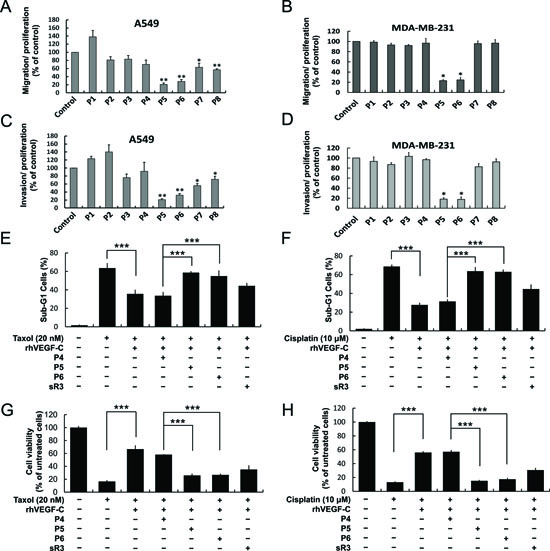 P5 and P6 peptides inhibit cancer cell migration, invasion and VEGF-C-induced drug resistance.
