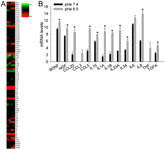 Short exposure to acidosis induces the release of inflammatory and nociceptive mediators in mesenchymal stromal cells of the BM microenvironment (deep sequencing of MSCs).
