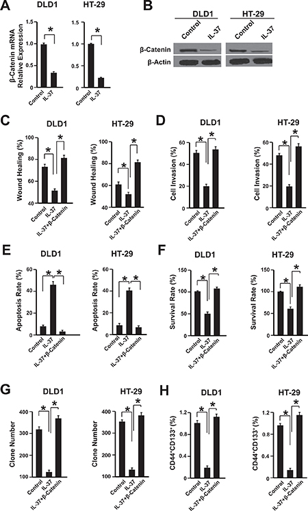 IL-37 inhibits &#x03B2;-catenin expression in colon cancer cells.