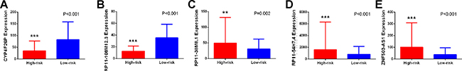 Different expression of the five key lncRNAs between high risk group and low risk group.