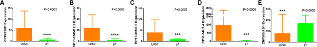 Different expression of the five key lncRNAs between LUSC and para-noncancerous lung tissues based on TCGA data.