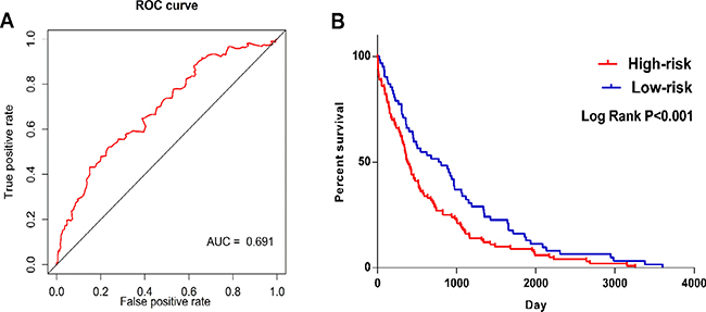 ROC and Kaplan&#x2013;Meier curves for the five lncRNAs signature in TCGA LUSC cohort.