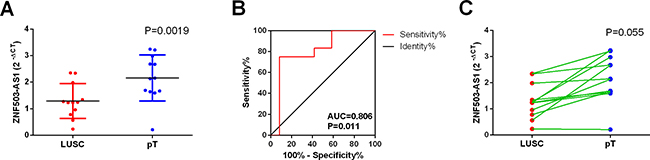 Validation of ZNF503-AS1 based on in-house clinical samples of LUSC.
