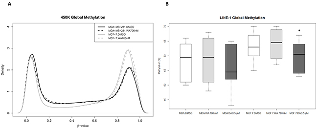 WA does not change global cell type specific DNA methylation.