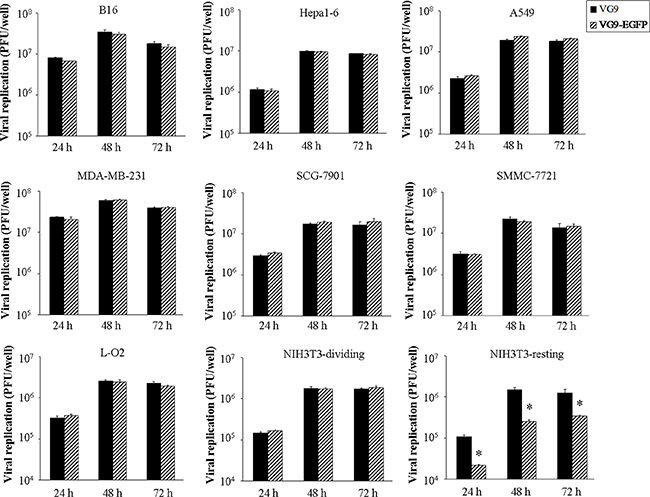 Viral replication in vitro.