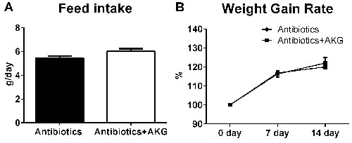 AKG supplementation fails to affect the mouse body weight in antibiotics treated mouse model.