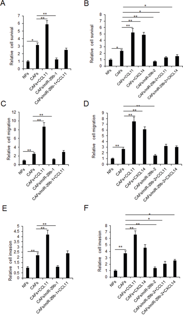 MiR-29b restoration in CAFs inhibits breast cancer cellular viability and metastasis by targeting CCL11 and CXCL14.