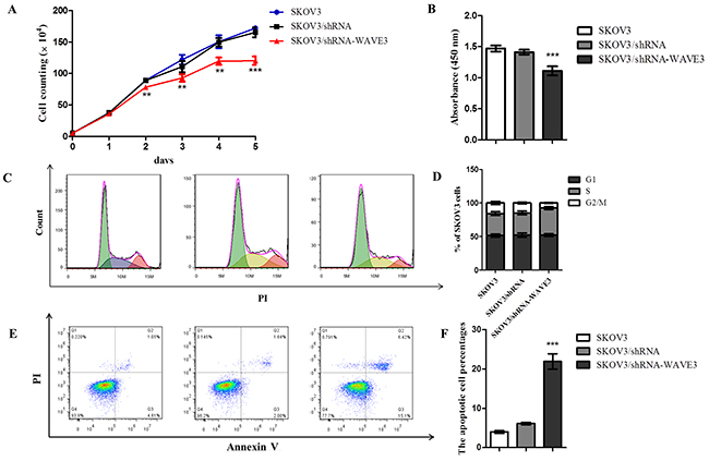 Effect of WAVE3 on the growth, cell cycle distribution and apoptosis of SKOV3 cells.