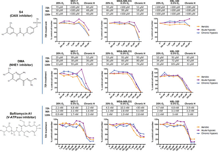 The effects of drugs targeting CAIX, NHE1 and V-ATPase on breast cancer proliferation in differing O2 conditions.