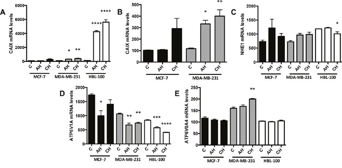 mRNA changes in response to different oxygen conditions.